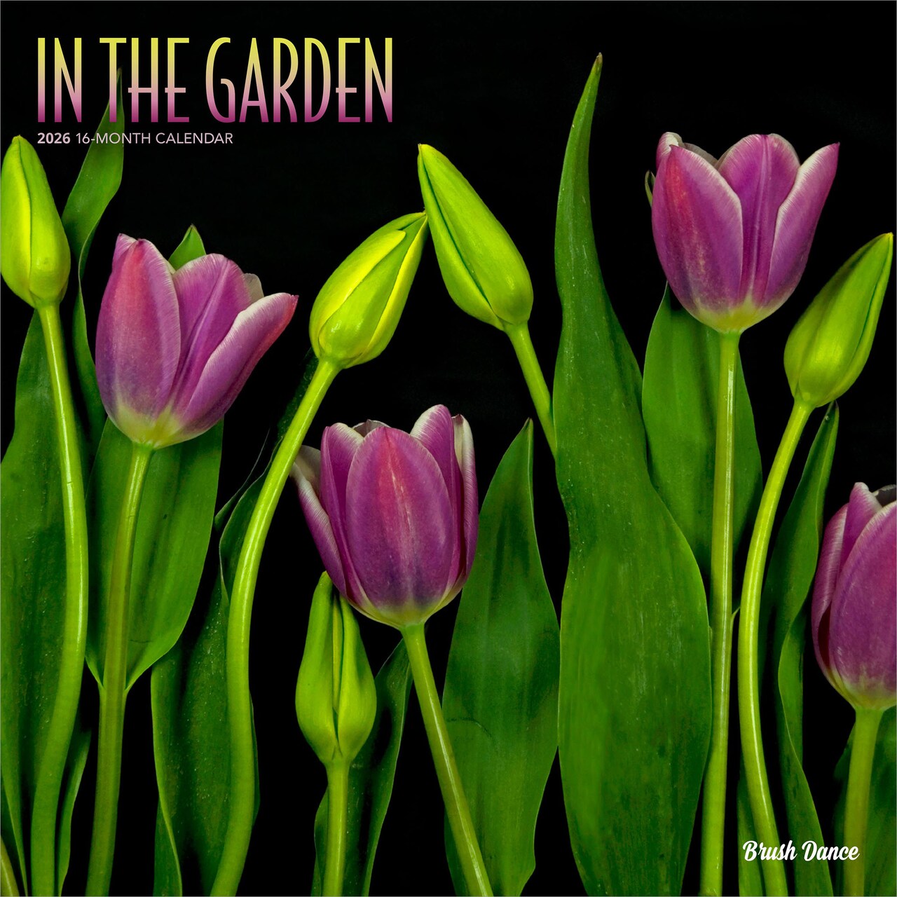 In the Garden | 2026 12 x 24 Inch (Hanging) Monthly Square Wall Calendar | Plastic-Free